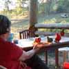 Sandra feeding the birds