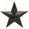 Samantha's Star